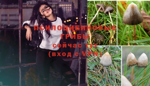 каннабис Аркадак